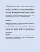 Proceso de Atención de Enfermería