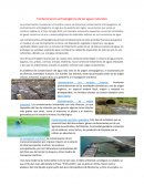 Contaminacion Antropogenica de las aguas naturales