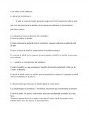 EL MERCAT DE TREBALL