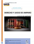 DERECHO Y JUICIO DE AMPARO