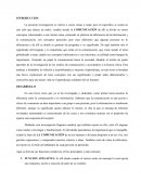 Lenguaje y comunicacion. Diferencia entre comunicación e información