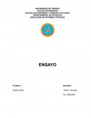 REDACCIÓN DE INFORMES TÉCNICOS