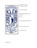 Practica 1 Beneficio de minerales