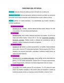 Endocrinologia