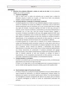 Gestión de Productos y Promociones en el Punto de Venta