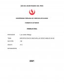 IMPORTACIÓN DE MASCARILLAS DESECHABLES KN-95