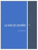La vida de un niño