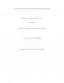 Juventud y adultez, características clave