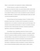 Trabajo: Los centros educativos como organizaciones complejas y multidimensionales