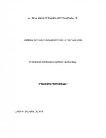 PROYECTO CONTABILIDAD. Página 1