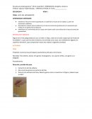 LEYES DEL MOVIMIENTO