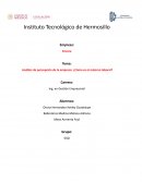 Análisis de percepción de la empresa: ¿Cómo es el entorno laboral?