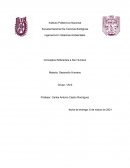 Conceptos Referentes a Ser Humano