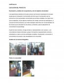 EJECUCIÓN DEL PROYECTO