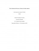 Marco Institucional Mexicano en Materia de Media Ambiente