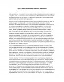 ¿Que comen realente nuestras mascotas?