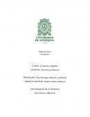 El aborto en Colombia, ¿derecho o crimen?