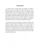Reporte de lectura economia en salud