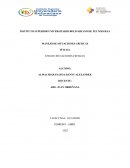 Conflictos organizacionales