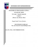 ANÁLISIS DE VIDEO: “TRATAME BIEN, CAPITULO 19”