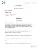 EL ALQUIMISTA PAULO COELHO