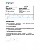 Actividad 4. Estas son cosas más importantes