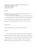 INFORME DE LABORATORIO N°2 FUNCIONES QUIMICAS INORGANICAS