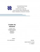 Problemática del Desarrollo Venezolano