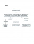 Algebra lineal. Ejercicios