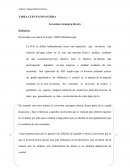 Inversión extranjera directa