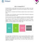¿Qué es el modelo RACE?