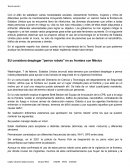 Ejemplo de un reporte sobre una noticia