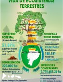 VIDA DEL ECOSISTEMA TERRESTRE