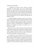 Ensayo de proceso administrativo
