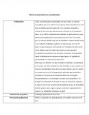Matriz de priorización de la problemática