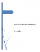 Creación y Desarrollo de Negocios