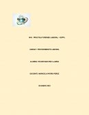 TEMAS DE FORENSE LABORAL