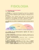 Circulacion arterial: cayado de la aorta