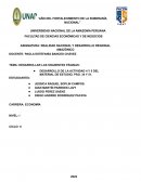 Desarrollo sostenible y medidas de cuidado y protección del medio ambiente. Mecanismo de desarrollo limpio