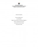 FUNDAMENTOS ECONOMICOS UNIMAG