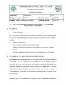 LA LECHE MATERNA COMO FUENTE PRINCIPAL DE ALIMENTO PARA LOS BEBES