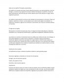 Que son los reptiles