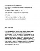 ENSAYO (CONTAMINACIÓN AMBIENTAL)