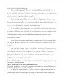 Évaluación organizacional