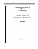 SISTEMAS OPERATIVOS PRÁCTICA DE LABORATORIO #2