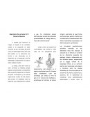 Importancia De La Danza En El Contexto Educativo