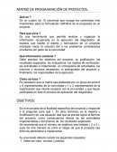 MATRIZ DE PROGRAMACIÓN DE PROYECTOS