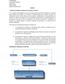 TALLER 2 Explicar los distintos enfoques para estudiar un sistema