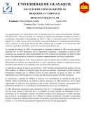 Enzimología de la transcripción