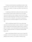 Contaminacion de los rios